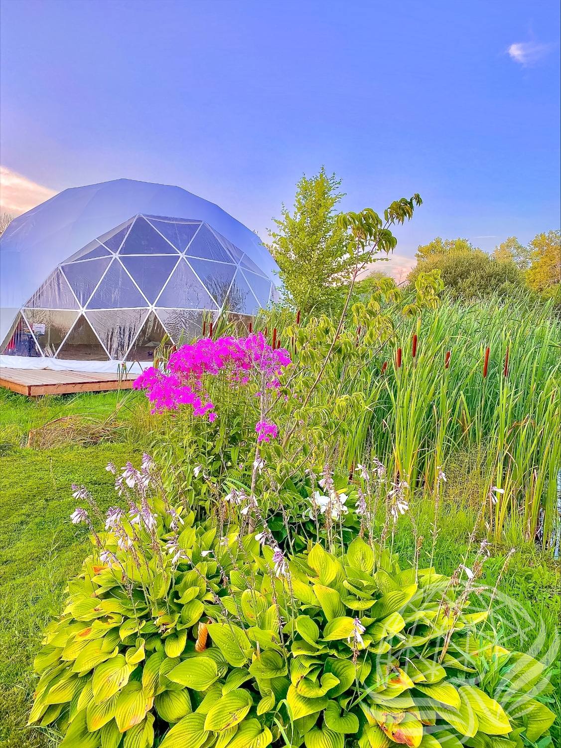 30ft / 9m Phoenix Dome