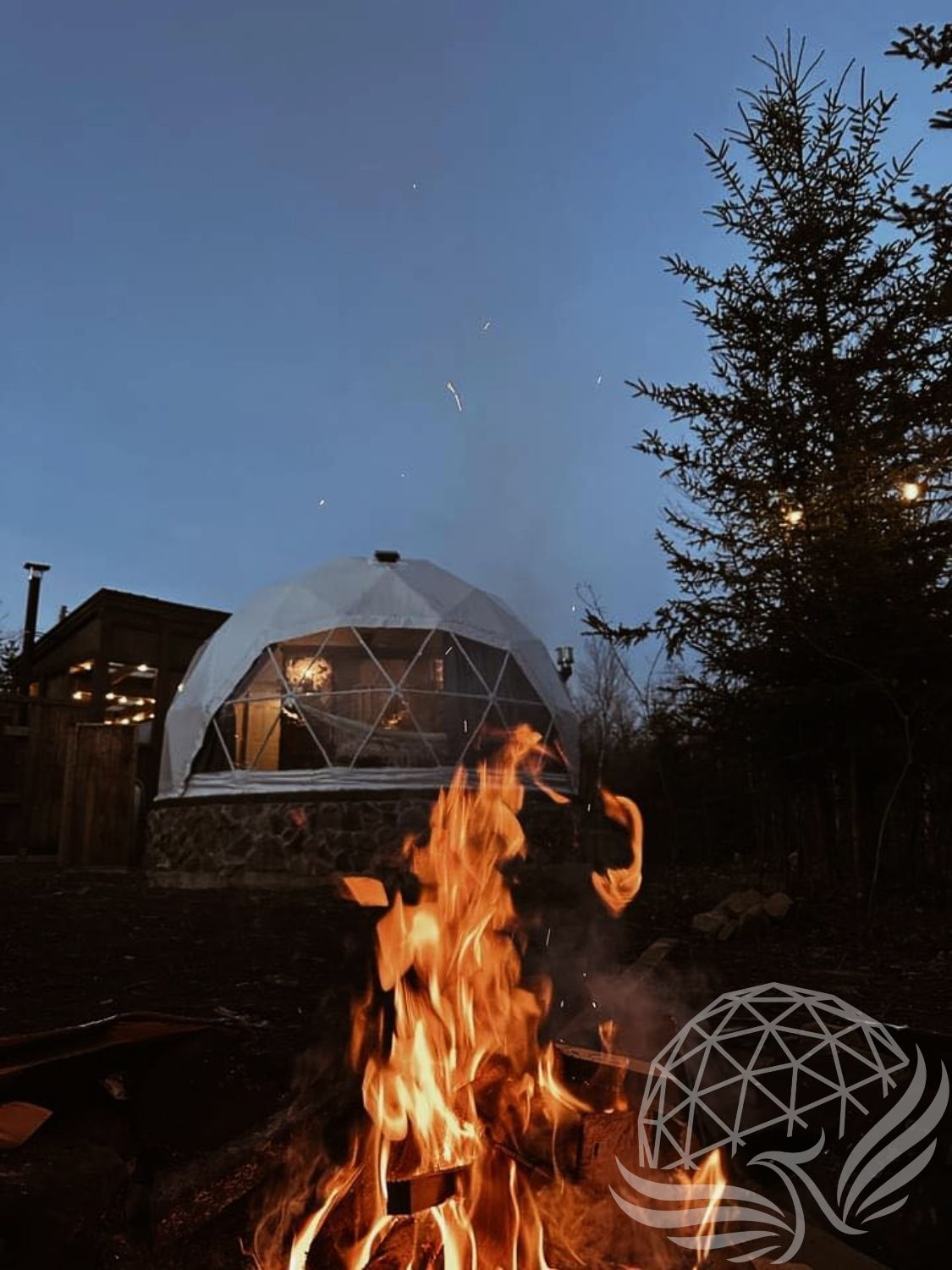 20ft / 6m Phoenix Dome