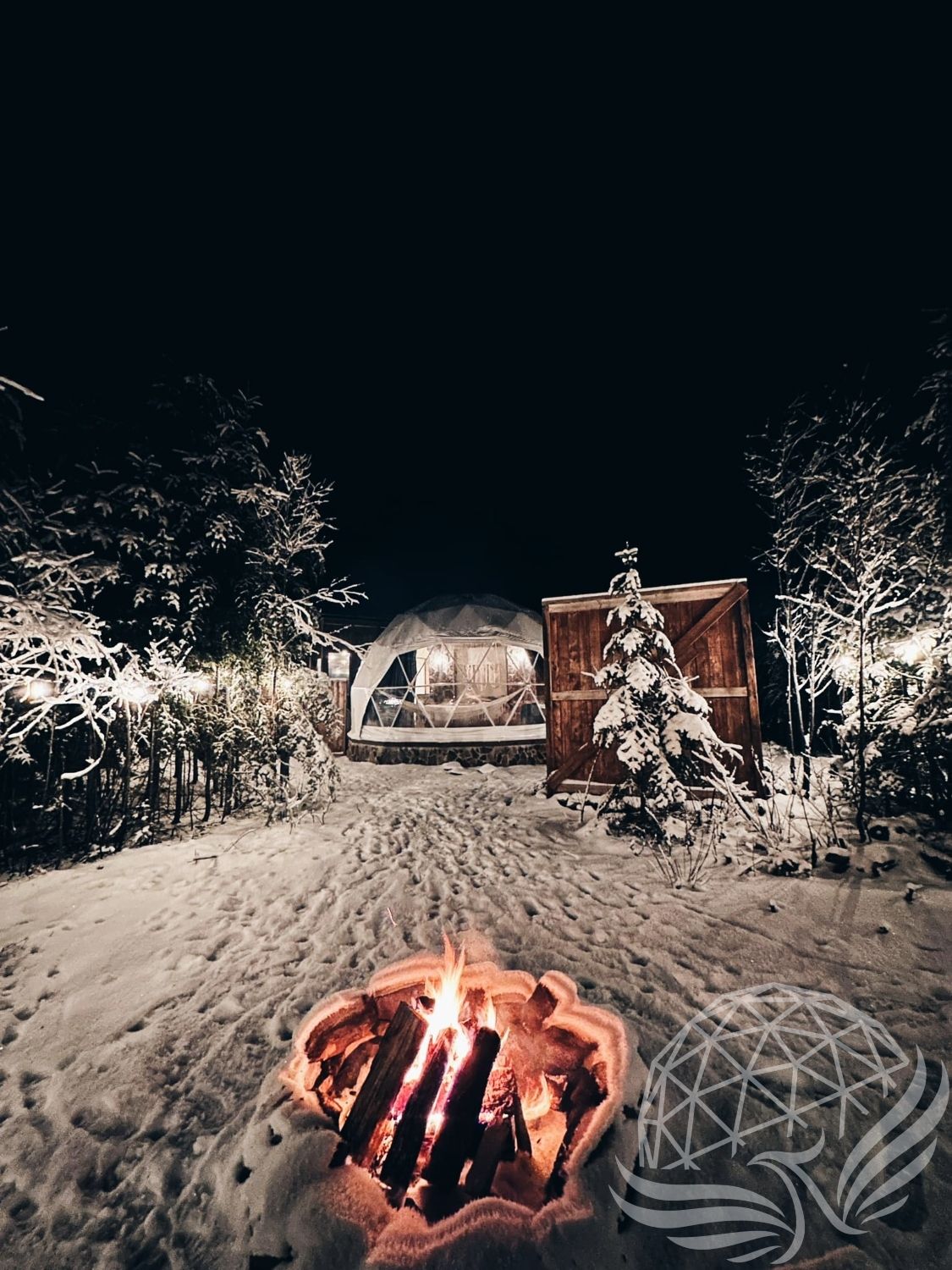 20ft / 6m Phoenix Dome