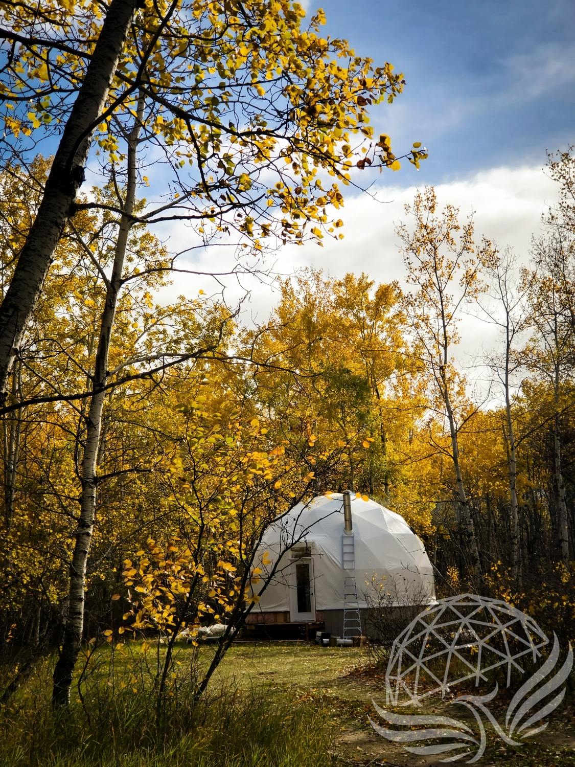 23ft / 7m Phoenix Dome